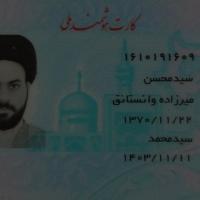 سید محسن میرزاده وانستانق