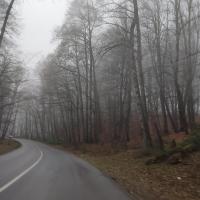 عاطفه مهدی زاده