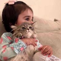 نسا افرا