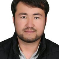 مهدی افضلی