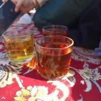 حنظله دربانی