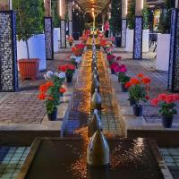 آناهیتا رشیدی