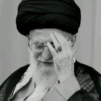 دانیال علیمردان