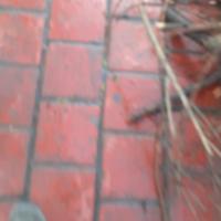 مهدی مصطفی نژاد