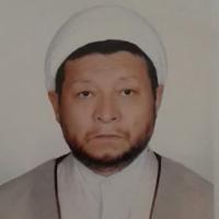 محمدرضاشجاعی