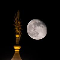 یاسی