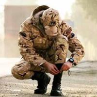 امیر عباس جیریایی