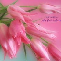 الهام سیما