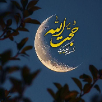 کوثر ثامرخویطی