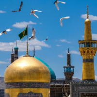محمد امامی منش