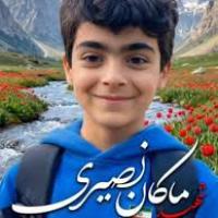 علی اکبر شوکتی