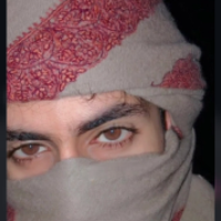 محمد مهدی صالحی