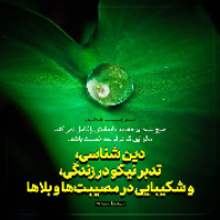 mohamad sahraroshan