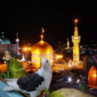پريسا راهجو