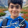 SEYED MOHAMAD HOSEYN  MOGHADAM