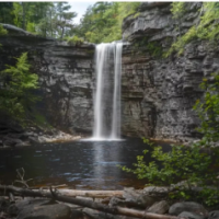 حسین صامعی