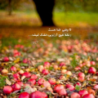 عاطفه شهیکی
