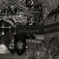 پارسا بهادری