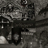 پارسا بهادری