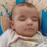 رضا صیادی
