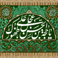 فهیمه سادات حسینی امینی